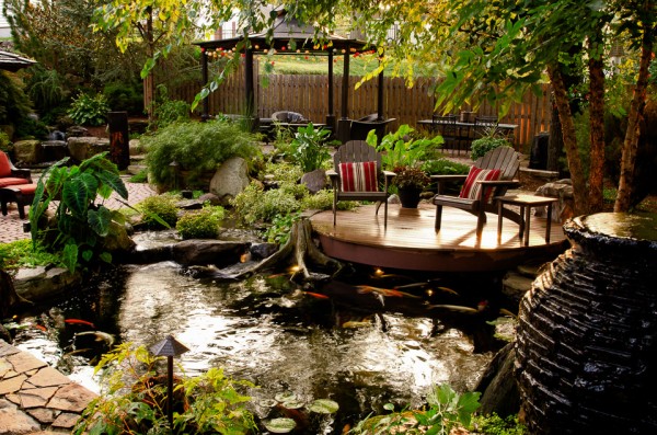 Backyard Watergarden at Night