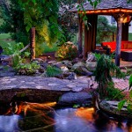 Backyard Watergarden at Night