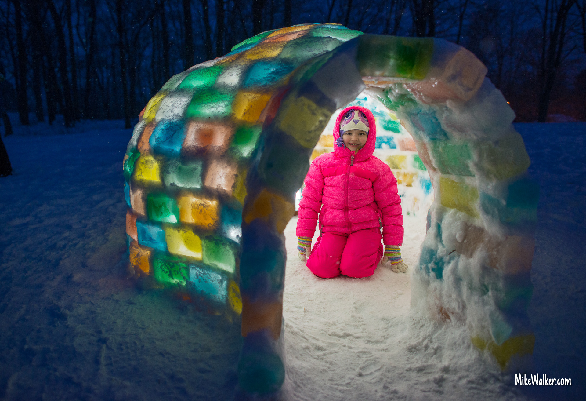 The Secret Igloo